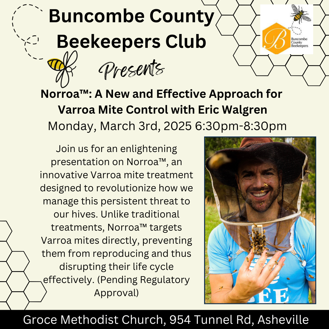 BCBC March Club Meeting: Norroa™ with Eric Walgren