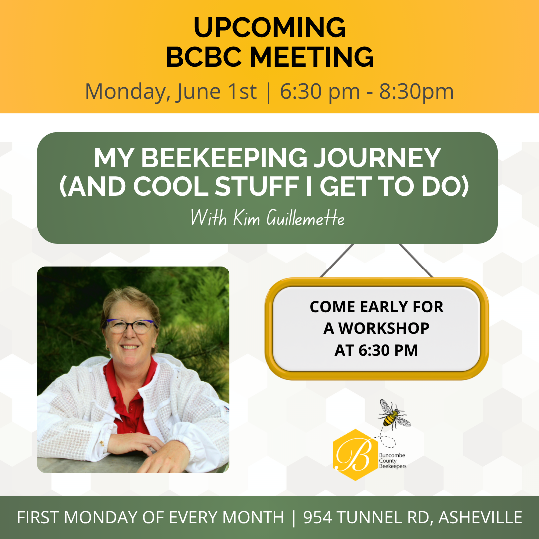My Beekeeping Journey (and cool stuff I get to do) | Buncombe County ...