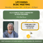 Bob Binnie: Old Comb & Toxic Chemistry In Our Colonies